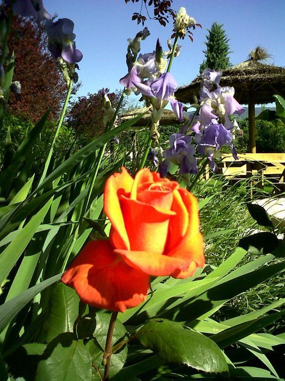 Domaine De La Begude Holiday park 2*